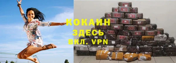 прущие грибы Покровск