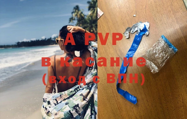 прущие грибы Покровск