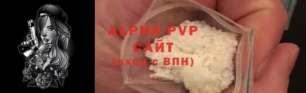 прущие грибы Покровск