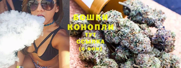прущие грибы Покровск