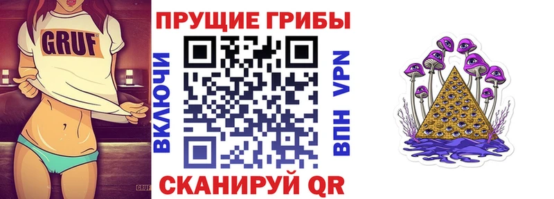 купить наркоту МЕГА как зайти нарко площадка как зайти Выборг Галлюциногенные грибы Psilocybe