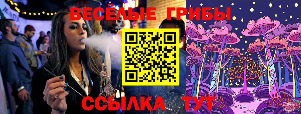 Выборг  Галлюциногенные грибы мицелий  Вход с VPN 