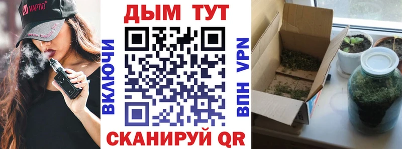 где можно купить наркотик  Выборг  Шишки марихуана планчик 